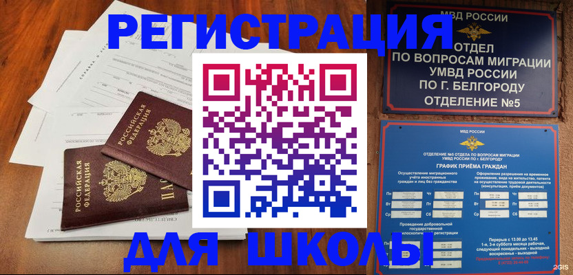 прописка поиск в Гатчине